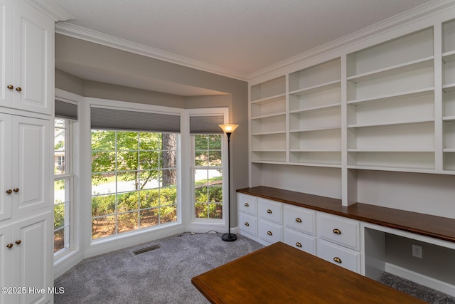 24 Mcnish Rd, Southern Pines, NC 28387 - unfurnished office with carpet floors, crown molding, and built in study area