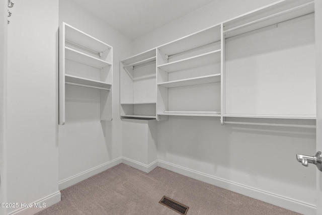 30 Deacon Palmer Pl, Southern Pines, NC 28387 - walk in closet featuring carpet