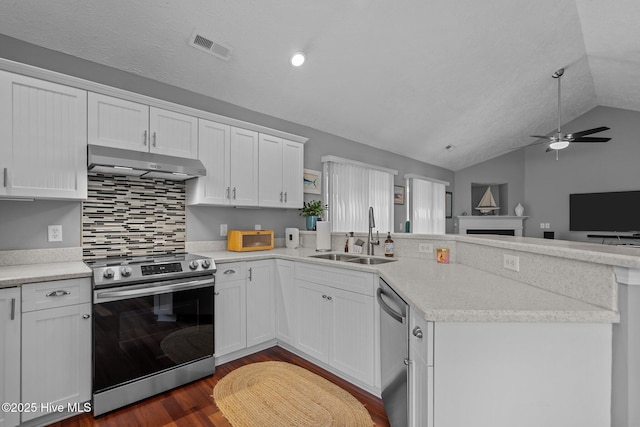 8122 Bahia Honda Dr, Wilmington, NC 28412 - kitchen featuring a sink, under cabinet range hood, stainless steel appliances, a peninsula, and vaulted ceiling