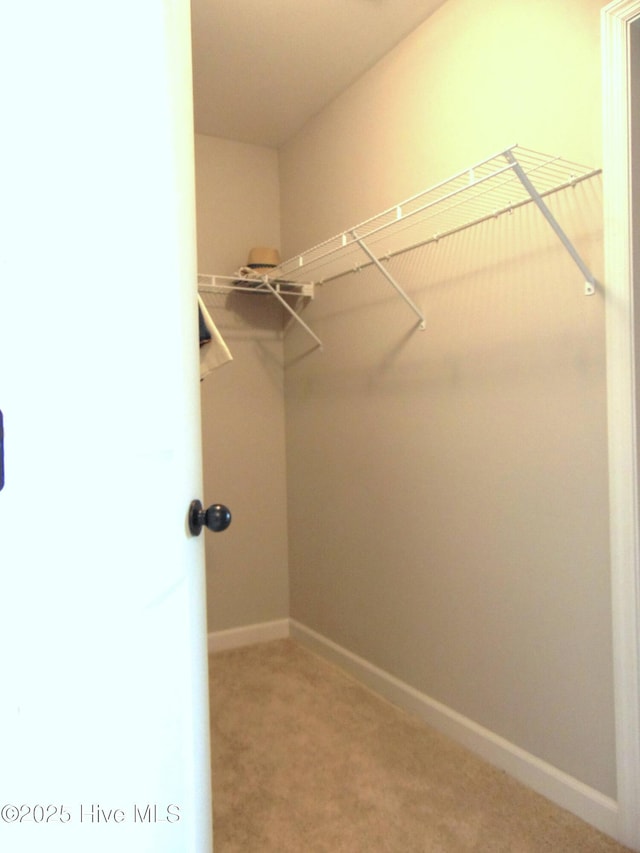 205 Brice Ct, Hubert, NC 28539 - walk in closet with carpet floors