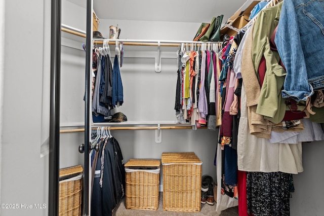 1763 Oak Pointe Dr, Greenville, NC 27834 - spacious closet featuring carpet flooring