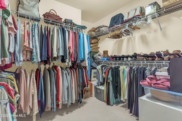 5170 Swashbuckler Way, Southport, NC 28461 - spacious closet featuring carpet floors