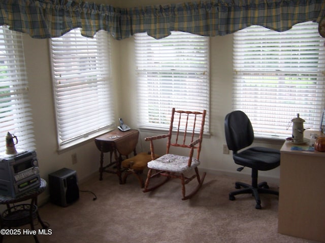 125 Pinehurst Trace Dr, Pinehurst, NC 28374 - office featuring carpet and plenty of natural light
