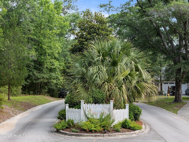 401 Fire Fly Ln, Southport, NC 28461 - view of asphalt road with curbs