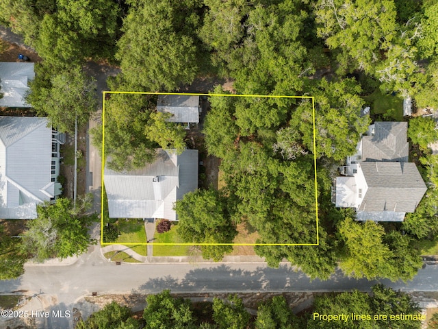 401 Fire Fly Ln, Southport, NC 28461 - aerial view of property's location with property boundaries highlighted
