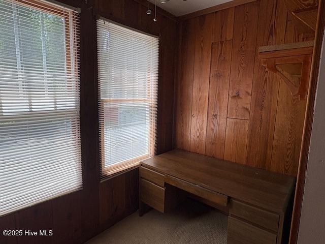 1041 Lafayette Ave, Rocky Mount, NC 27803 - unfurnished office with wooden walls and plenty of natural light
