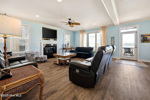 living area featuring ceiling fan, wood finished floors, plenty of natural light, a glass covered fireplace, and ornamental molding