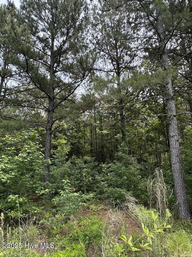 316 Batts Island Rd, Edenton, NC 27932