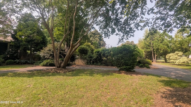 200 Cameron Ave, Vass, NC 28394 - view of yard