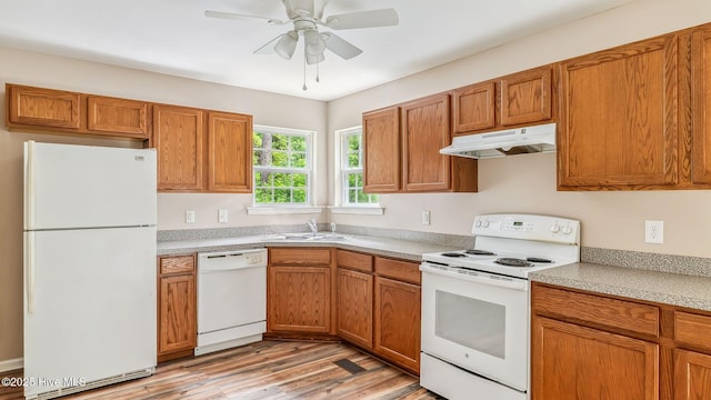 149 Edinburgh Dr, Carthage, NC 28327 - kitchen with white appliances, under cabinet range hood, a sink, light wood finished floors, and light countertops