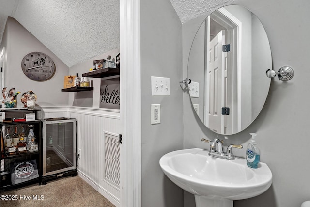 224 Red Fox Run Dr, Wallace, NC 28466 - bathroom featuring a textured ceiling, a sink, vaulted ceiling, and wainscoting