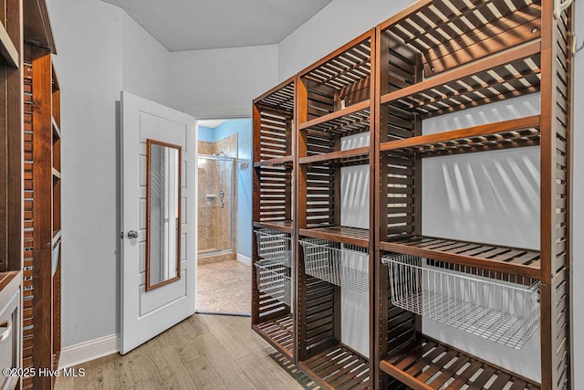 472 Landsdowne Cir, Hampstead, NC 28443 - walk in closet with wood finished floors