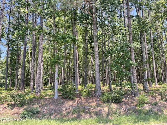 0000 Edwards Rd Unit 6, Spring Hope, NC 27882