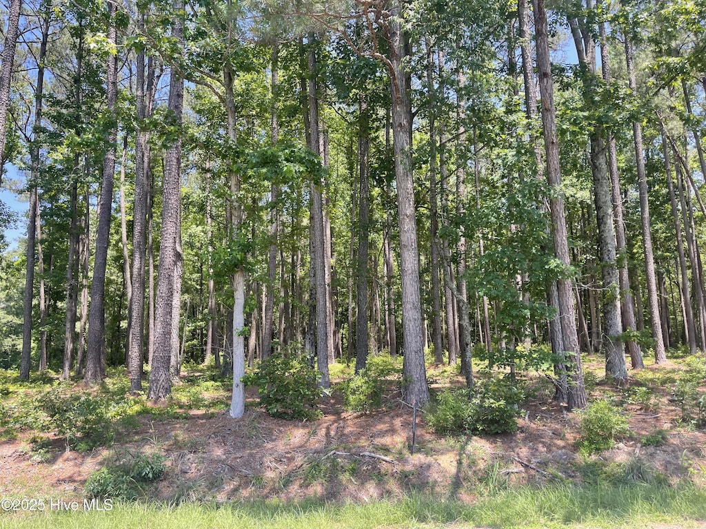 0000 Edwards Rd Unit 6, Spring Hope, NC 27882