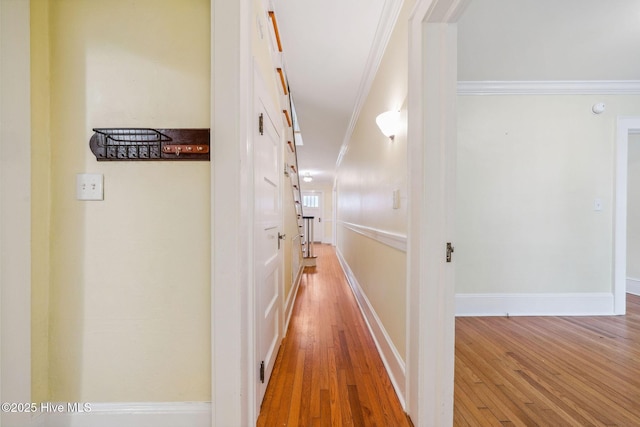 217 N 18th St, Wilmington, NC 28405 - hallway with ornamental molding, wood-type flooring, and baseboards