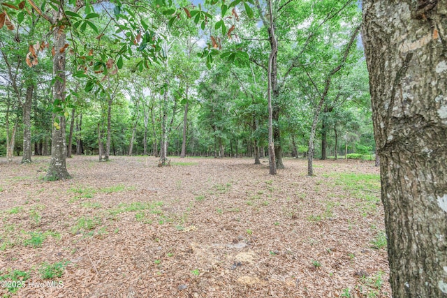 3197 Marsh View Dr SW, Supply, NC 28462