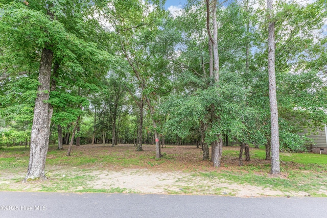 3197 Marsh View Dr SW, Supply, NC 28462