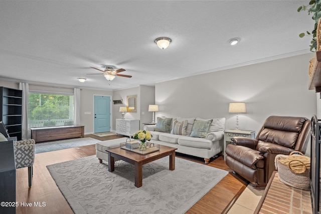 114 Mohican Trl, Wilmington, NC 28409 - living room featuring ceiling fan, crown molding, a textured ceiling, and light wood-style flooring
