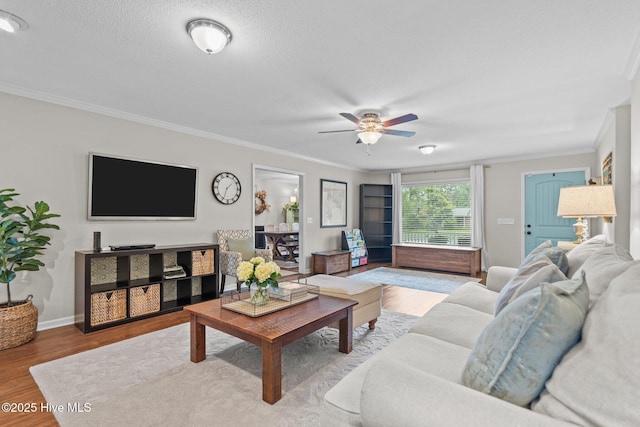 114 Mohican Trl, Wilmington, NC 28409 - living room with ornamental molding, wood finished floors, ceiling fan, and baseboards