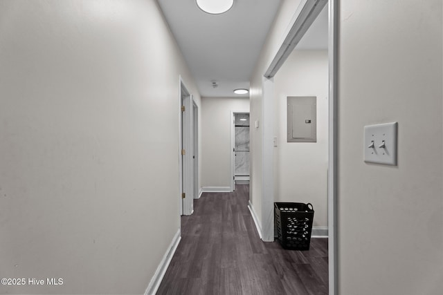 120 Ruby Rd, Goldsboro, NC 27534 - corridor featuring electric panel, dark wood finished floors, and baseboards