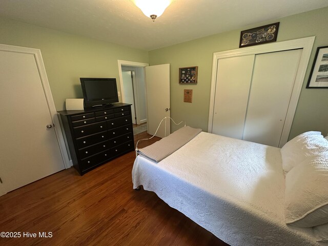127 Deans Ln, Goldsboro, NC 27530 - bedroom featuring dark wood-type flooring and a closet