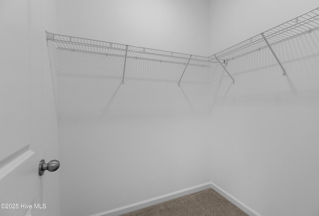 1617 Stanley St, Wilmington, NC 28401 - spacious closet featuring carpet floors