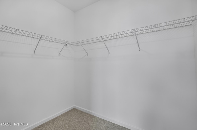 1617 Stanley St, Wilmington, NC 28401 - spacious closet with carpet