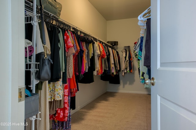 402 Saxby Way, Holly Ridge, NC 28445 - walk in closet with carpet flooring