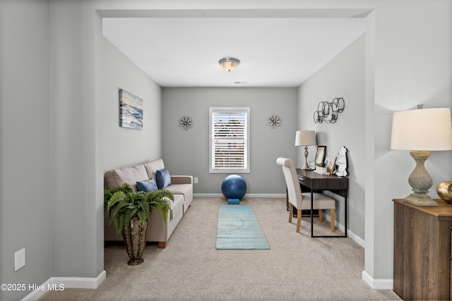 97 Violetear Rdg, Hampstead, NC 28443 - home office with carpet flooring and baseboards
