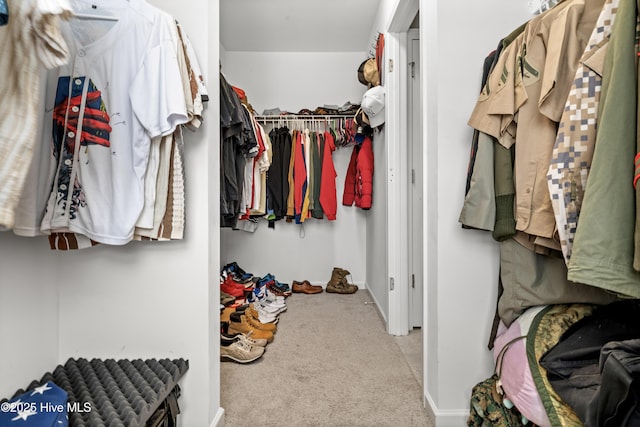 97 Violetear Rdg, Hampstead, NC 28443 - walk in closet with carpet