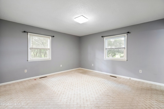 280 Cornwallis Rd, Teachey, NC 28464 - empty room featuring plenty of natural light, carpet floors, and a textured ceiling