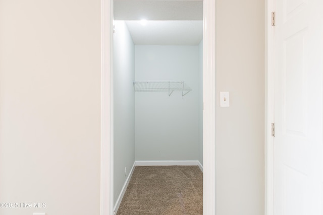 2525 Flint Dr, Wilmington, NC 28401 - spacious closet with carpet