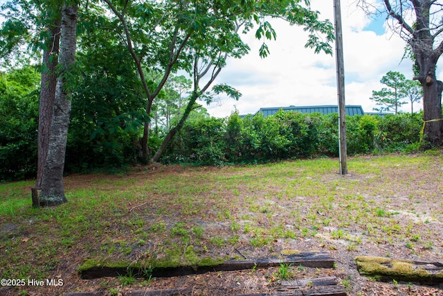 2525 Flint Dr, Wilmington, NC 28401 - view of yard