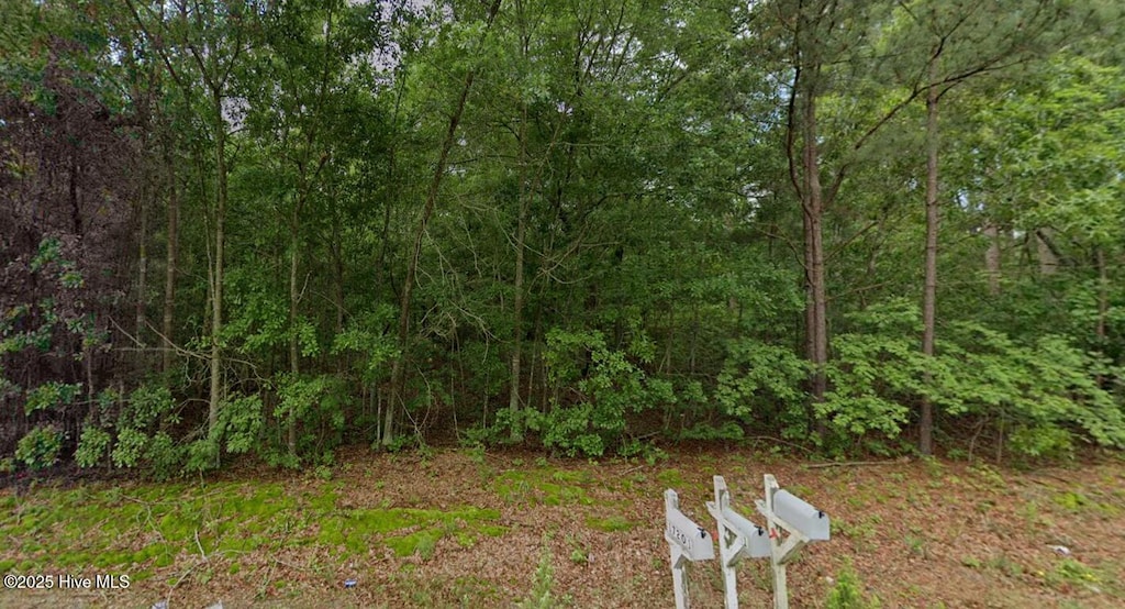 TBD Palmer Rd, Marston, NC 28363