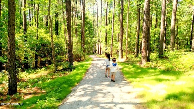 494 W Burton Farm Dr Unit 256 257, Minnesott Beach, NC 28510
