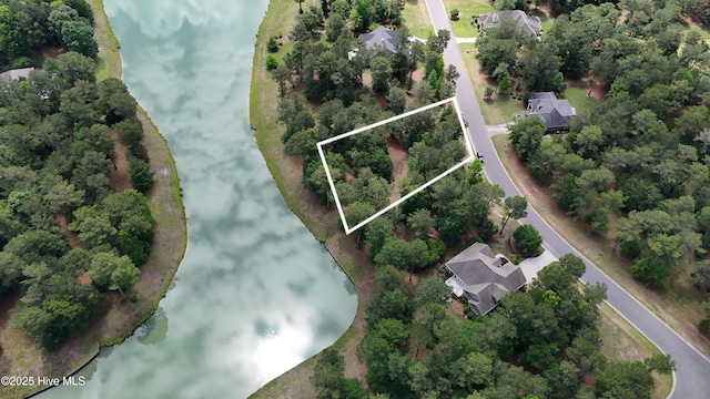 146 Muscadine Trl, Wallace, NC 28466