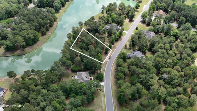 146 Muscadine Trl, Wallace, NC 28466