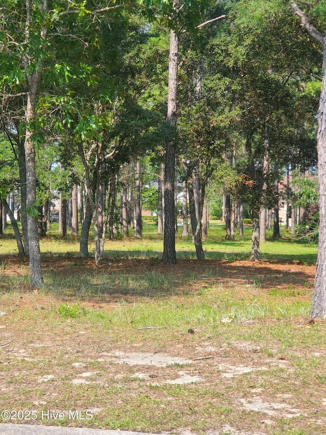 6597 Annesbrook Pl SW Unit 87, Ocean Isle Beach, NC 28469