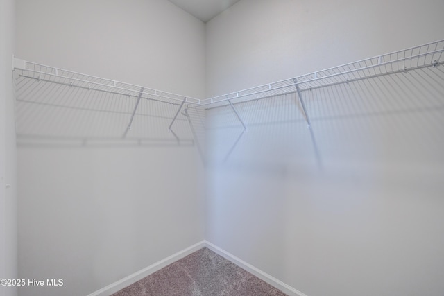 5380 Black Oak Ct, Winnabow, NC 28479 - spacious closet featuring carpet