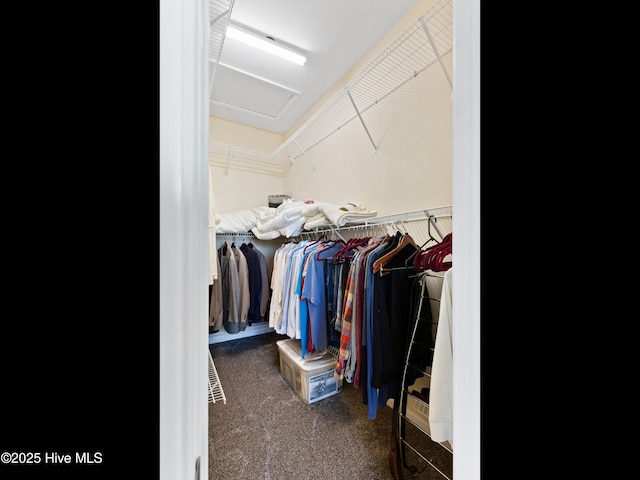1232 Fence Post Ln, Carolina Shores, NC 28467 - walk in closet featuring carpet flooring