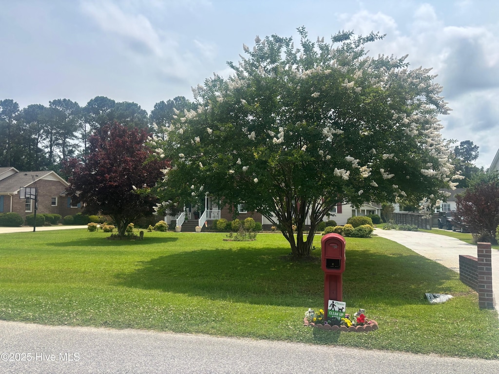 216 La Salle St, Wilmington, NC 28411 - view of property hidden behind natural elements featuring a front lawn