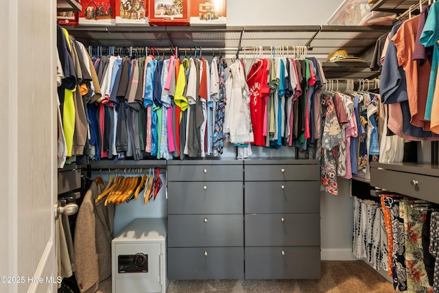 6005 Otter Tail Trl, Wilmington, NC 28412 - view of walk in closet