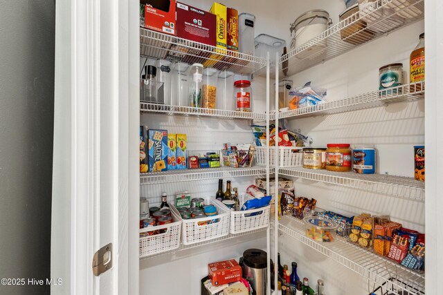 6005 Otter Tail Trl, Wilmington, NC 28412 - view of pantry