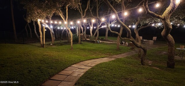 6005 Otter Tail Trl, Wilmington, NC 28412 - view of yard at twilight