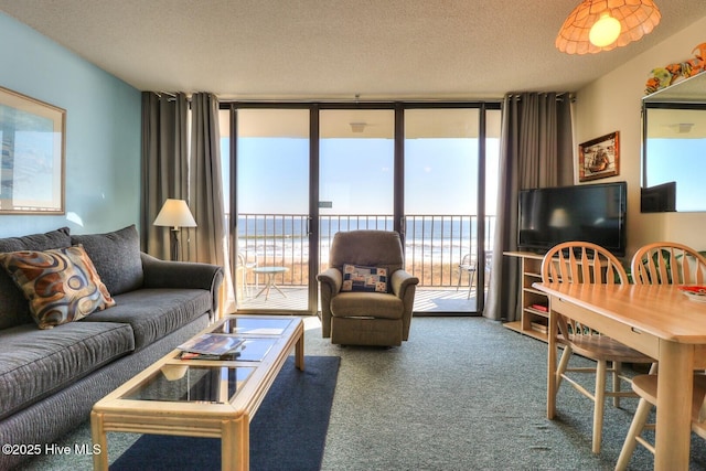 1615 Lake Park Blvd S Unit 307, Carolina Beach, NC 28428 - carpeted living area featuring a textured ceiling and healthy amount of natural light