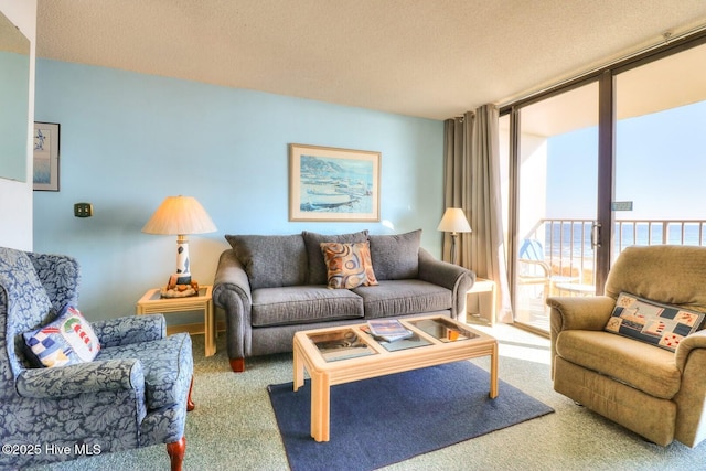 1615 Lake Park Blvd S Unit 307, Carolina Beach, NC 28428 - carpeted living area with a textured ceiling