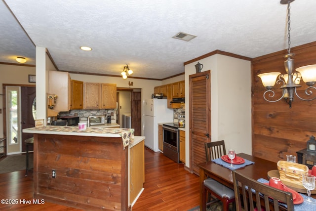 108 Western Trl, Carthage, NC 28327 - kitchen with stainless steel range with electric cooktop, freestanding refrigerator, light countertops, dark wood-style floors, and tasteful backsplash