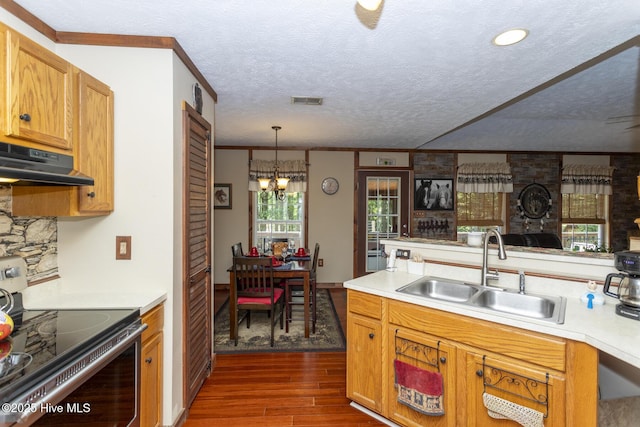 108 Western Trl, Carthage, NC 28327 - kitchen featuring electric stove, a sink, dark wood-style flooring, a chandelier, and a textured ceiling