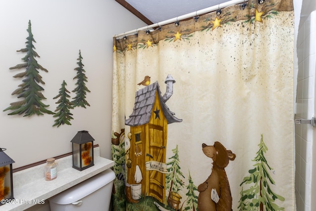 108 Western Trl, Carthage, NC 28327 - bathroom with toilet and a shower with curtain