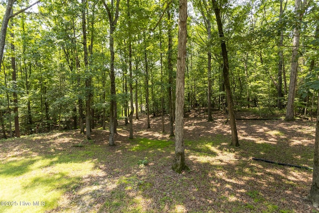 108 Western Trl, Carthage, NC 28327 - view of tree filled area